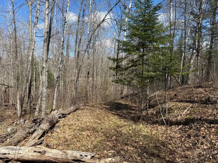 Lot 7 Block 1 Yellow Birch Ln, Emily, MN 56447 - #2