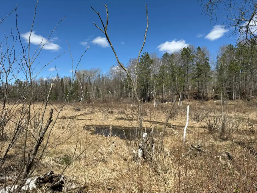 Lot 7 Block 1 Yellow Birch Ln, Emily, MN 56447 - #3