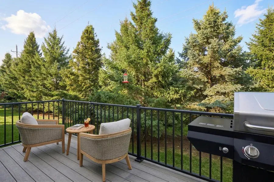 10106 Chestnut Circle N, Minneapolis, MN 55443 - #3