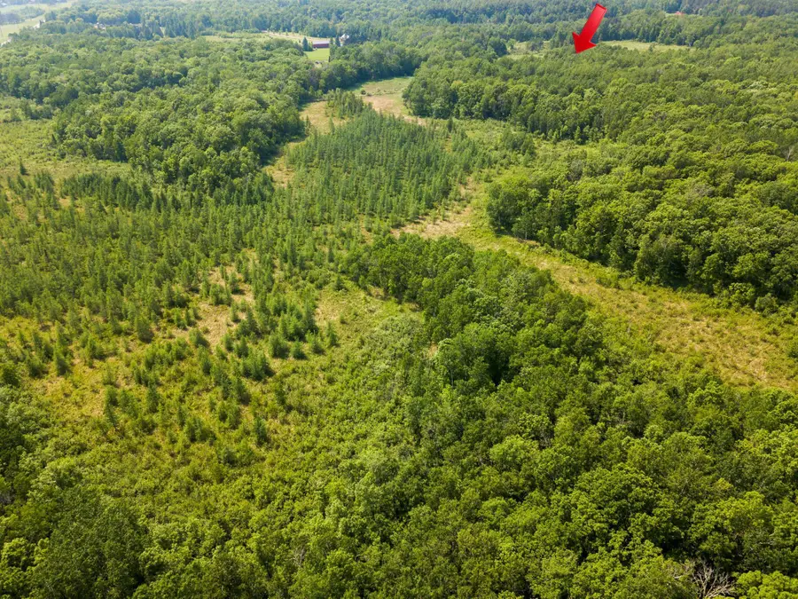 24504 State Highway 18, Deerwood, MN 56444 - #3