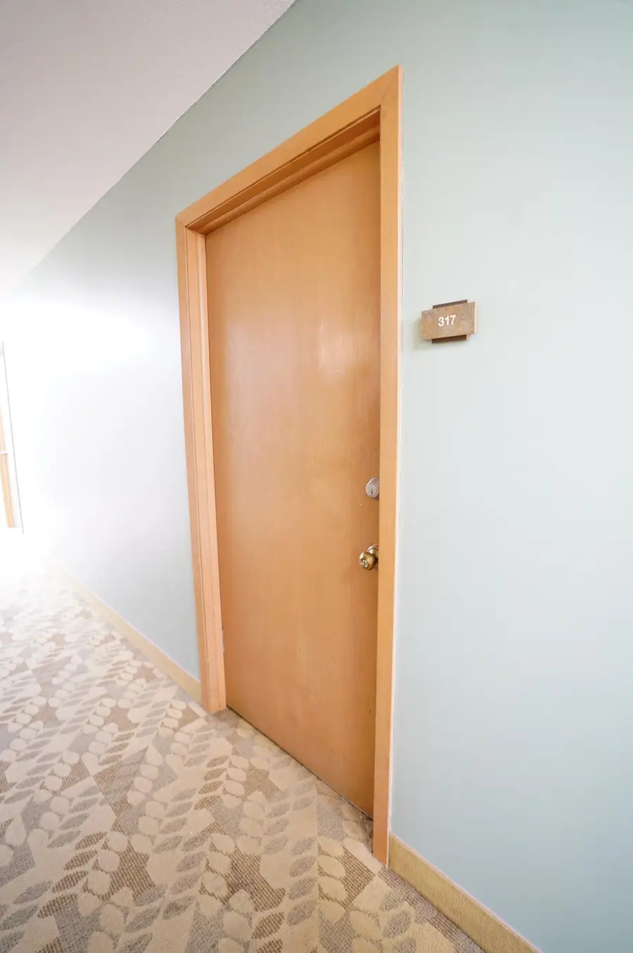 4530 Park Commons Drive #317, Saint Louis Park, MN 55416 - #3
