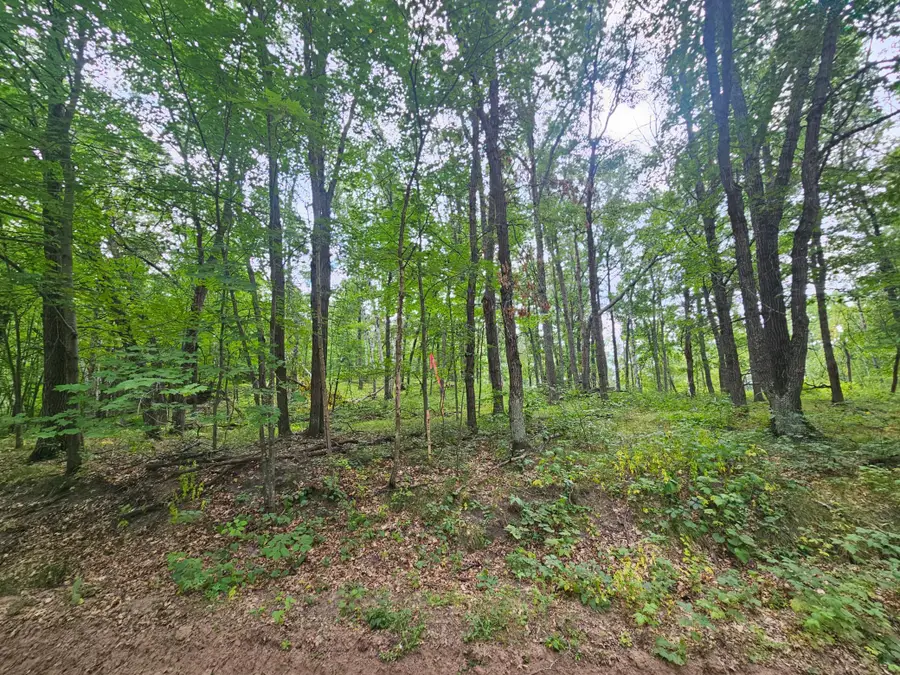 TBD Tract C Richfield Road Sw, Pillager, MN 56473 - #3