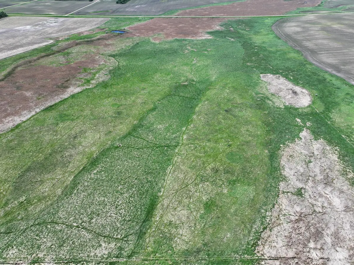 TBD County Road 11, Litchville, ND 58461 - #1