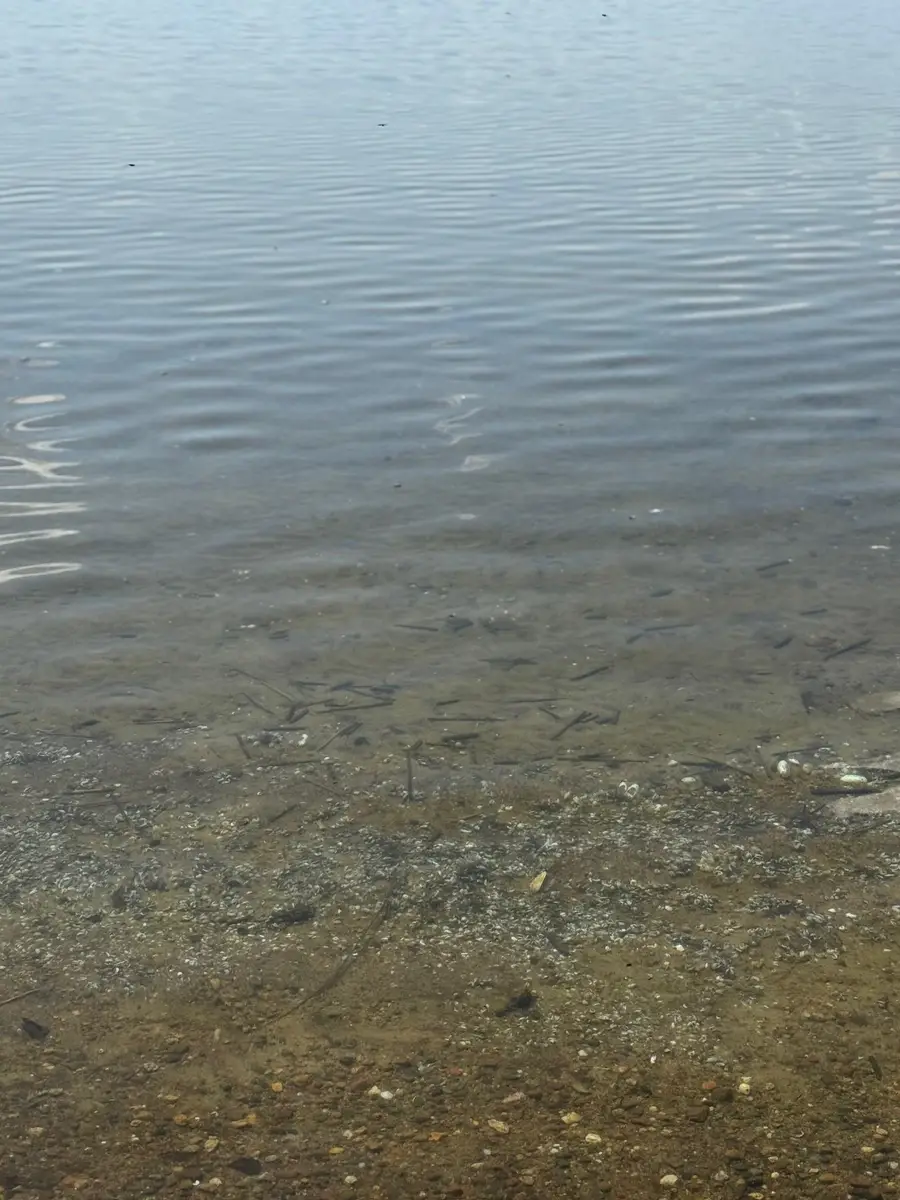 TBD Lakeview Lane, Merrifield, MN 56465 - #2