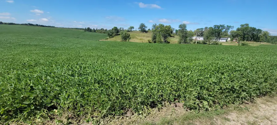 TBD County Highway 15, Detroit Lakes, MN 56501 - #2