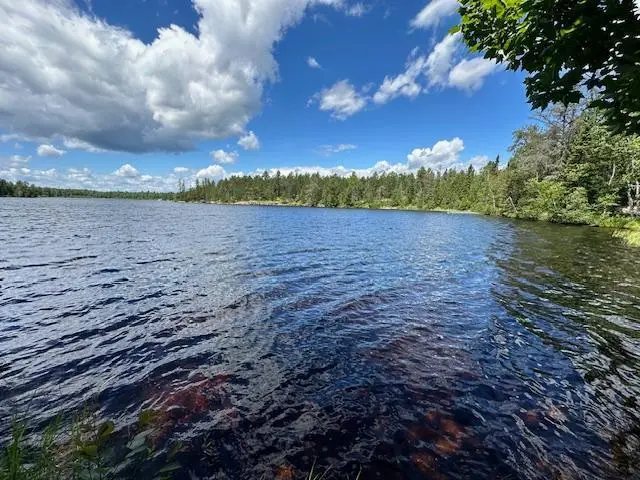1804 N Bay Road, Ely, MN 55731 - #2
