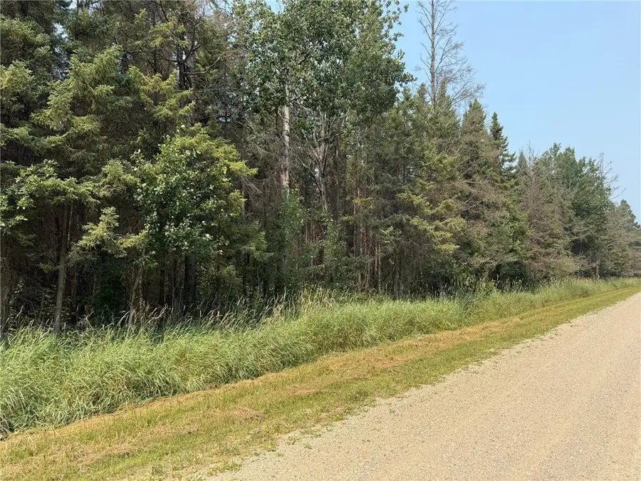 TBD 40 Acres Sunflower, Kelliher, MN 56650 - #2