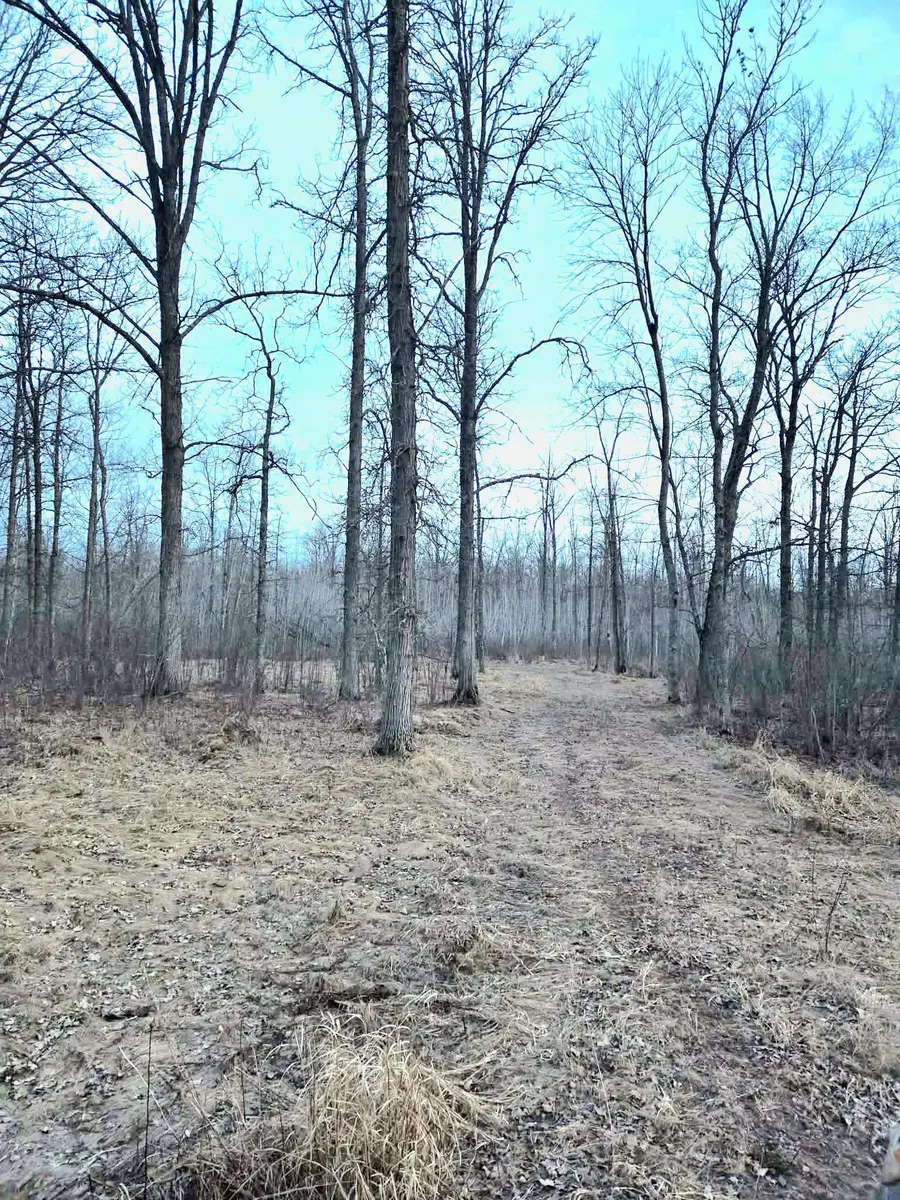 194X Old Creamery Road, Sturgeon Lake, MN 55783 - #2