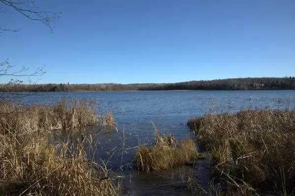 36363 County Highway 34, Ogema, MN 56569