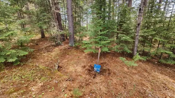 80064 Osprey Pass, Tower, MN 55790