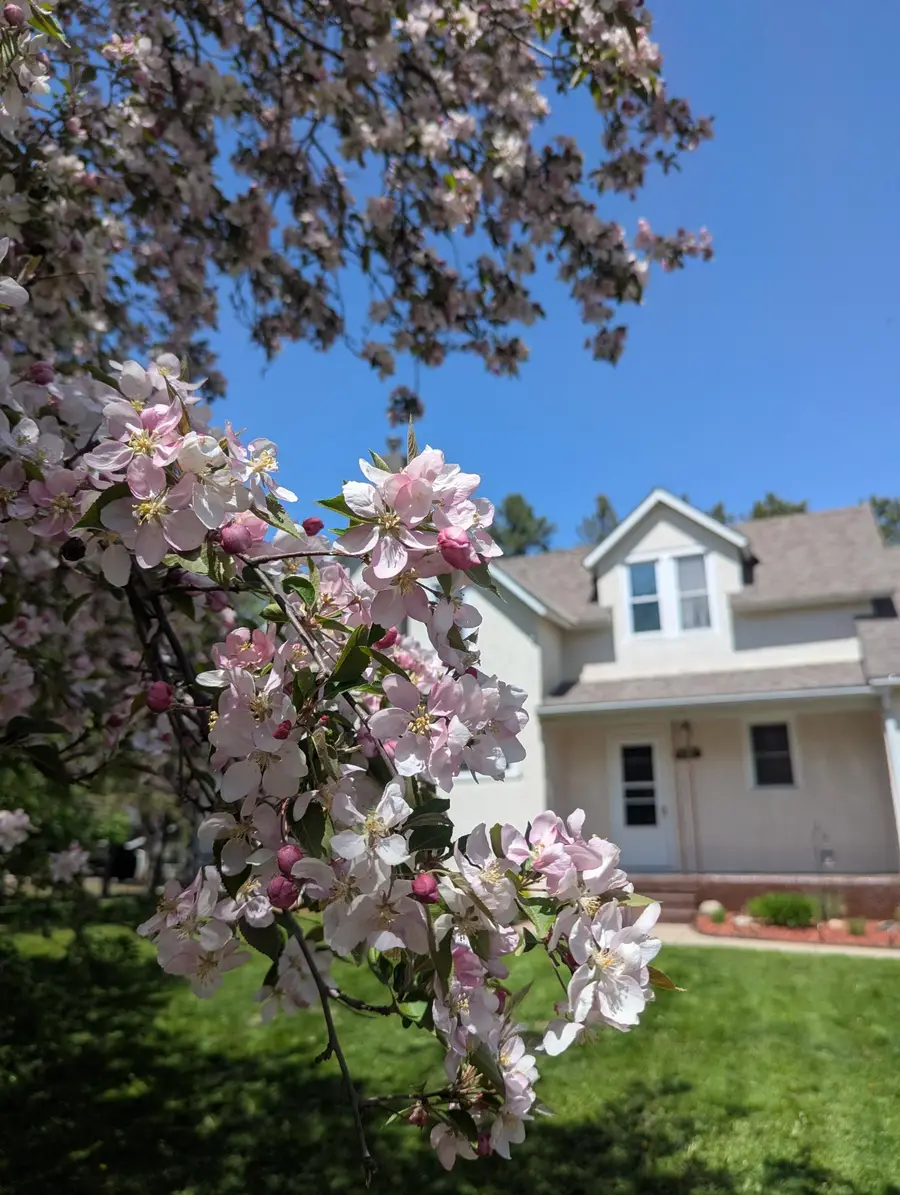 111 E Elm Avenue, Upsala, MN 56384 - #3