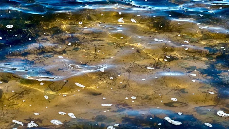 1327 Mahogany Street, Braham, MN 55006 - #2