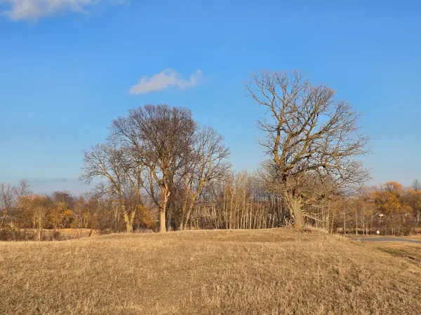 Lot 8 Branch Creek Road, Detroit Lakes, MN 56501