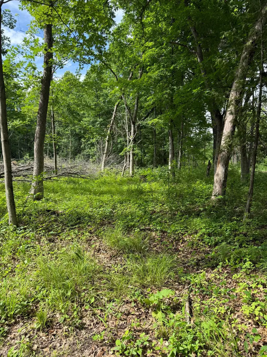 12216 Arcola Trail N, Stillwater, MN 55082 - #3