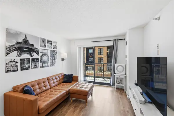 401 1st Street S #203, Minneapolis, MN 55401