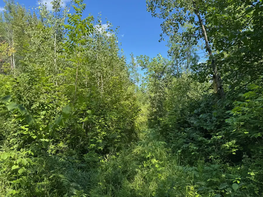 40a Bridgie Road, Northome, MN 56661 - #2