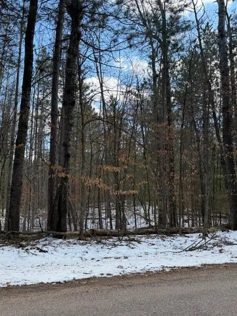 TBD E Long Lake Road, Danbury, WI 54830