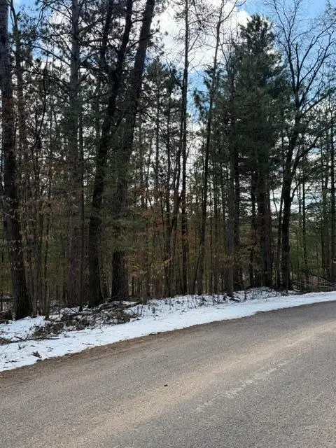 TBD E Long Lake Road, Danbury, WI 54830 - #2