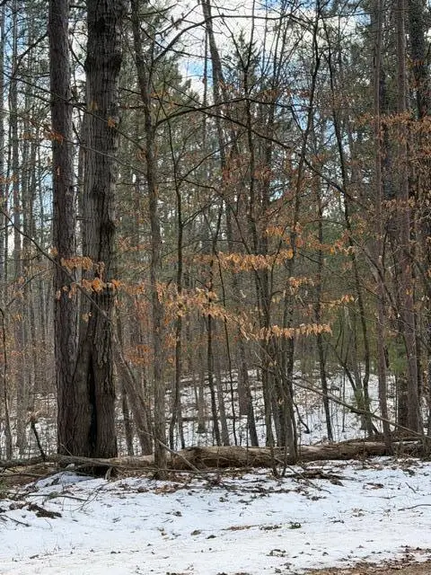 TBD E Long Lake Road, Danbury, WI 54830 - #3