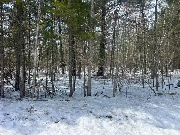 TBD County Road 1, Pine River, MN 56474