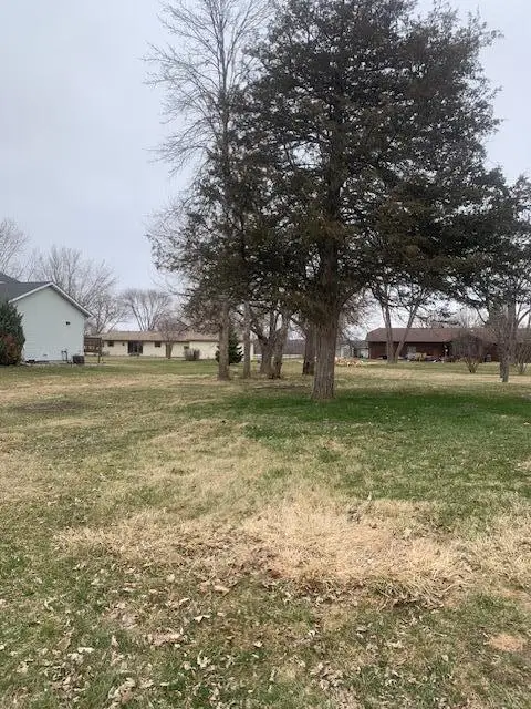 xxx Main St, Belle Plaine, MN 56011 - #2