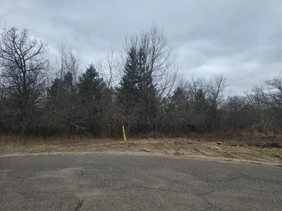 L11,B1 288th Ave Avenue Nw, Zimmerman, MN 55398 - #3