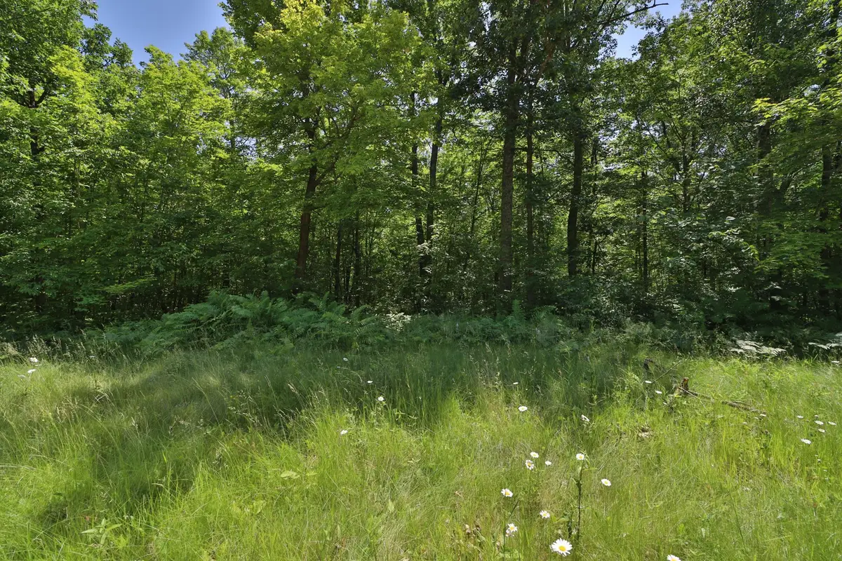 Tract D Olander Road, Crosby, MN 56441 - #1