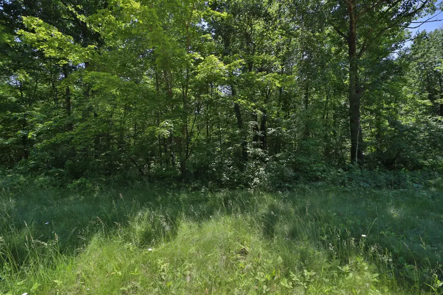 Tract D Olander Road, Crosby, MN 56441 - #3