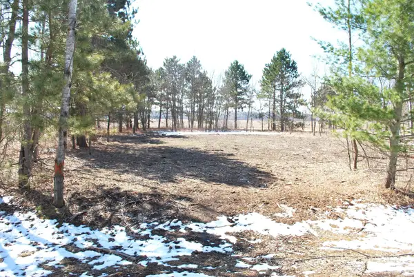 TBD Pacer Drive, Browerville, MN 56438