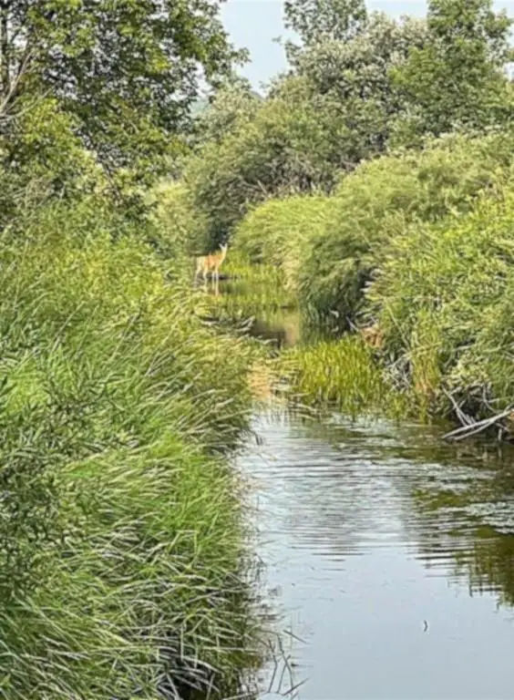 16913 220th Street, Milaca, MN 56353 - #2