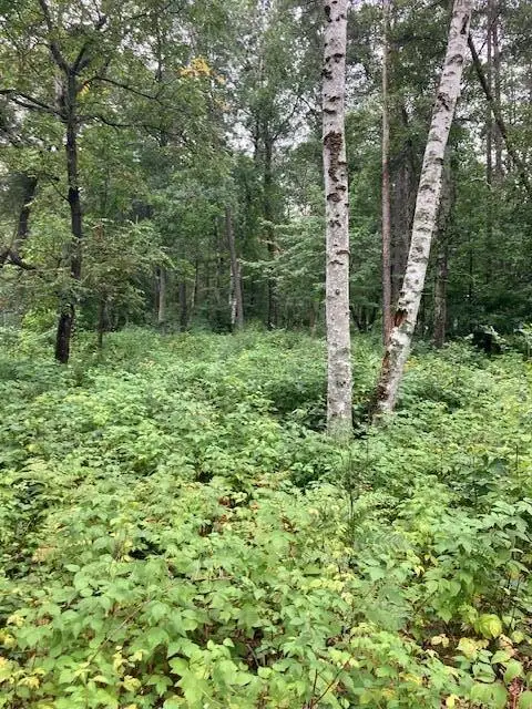 Lot 39 & 40 Owl Circle, Breezy Point, MN 56472 - #3