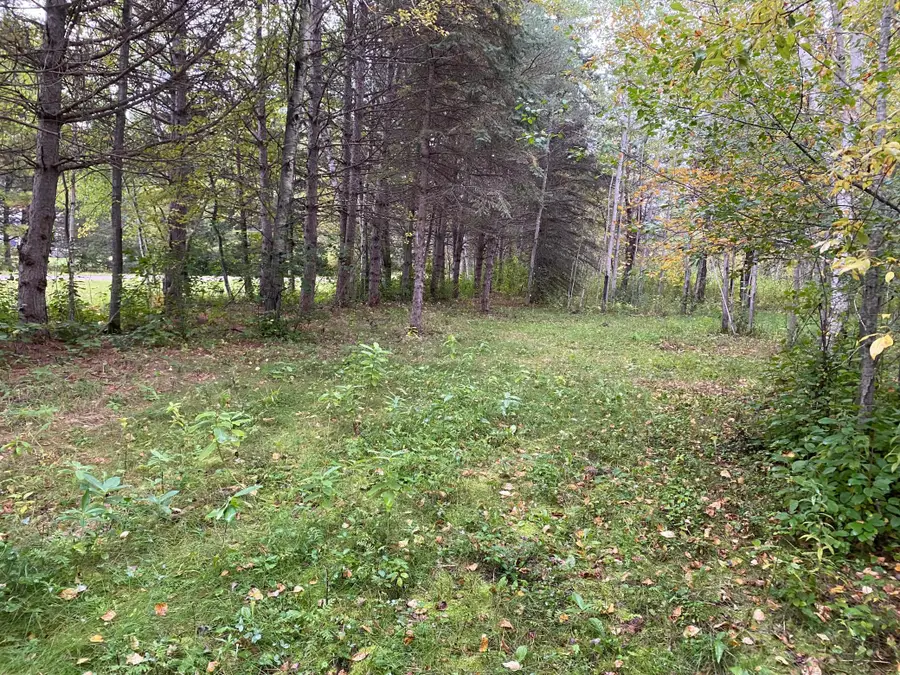 TBD LOT 13 Owl Avenue, Aitkin, MN 56431 - #2