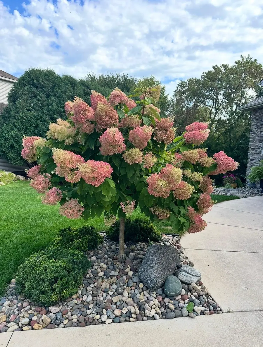 2490 Cambridge Way, Shakopee, MN 55379 - #2