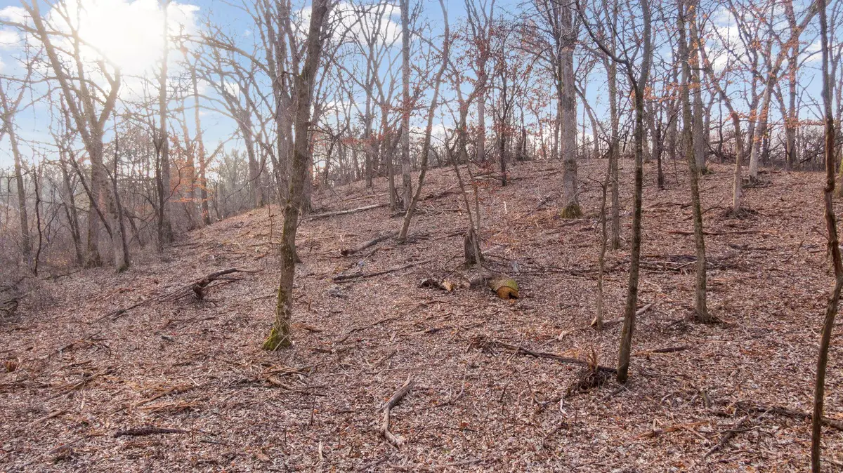 10700 68th Street Court S, Cottage Grove, MN 55016 - #1