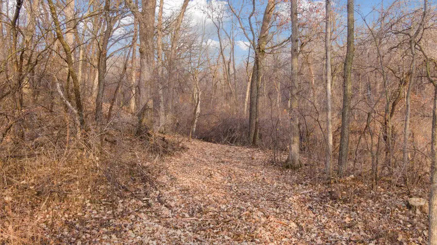 10700 68th Street Court S, Cottage Grove, MN 55016 - #3