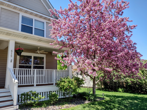 615 1st Avenue Nw, Osseo, MN 55369