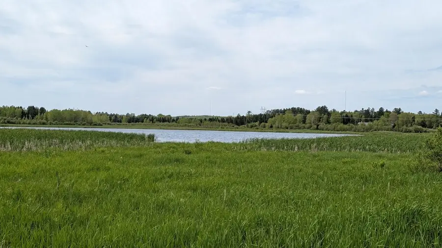 TDB County Rd 453, Bovey, MN 55709 - #2
