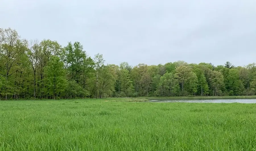 TDB County Rd 453, Bovey, MN 55709 - #3