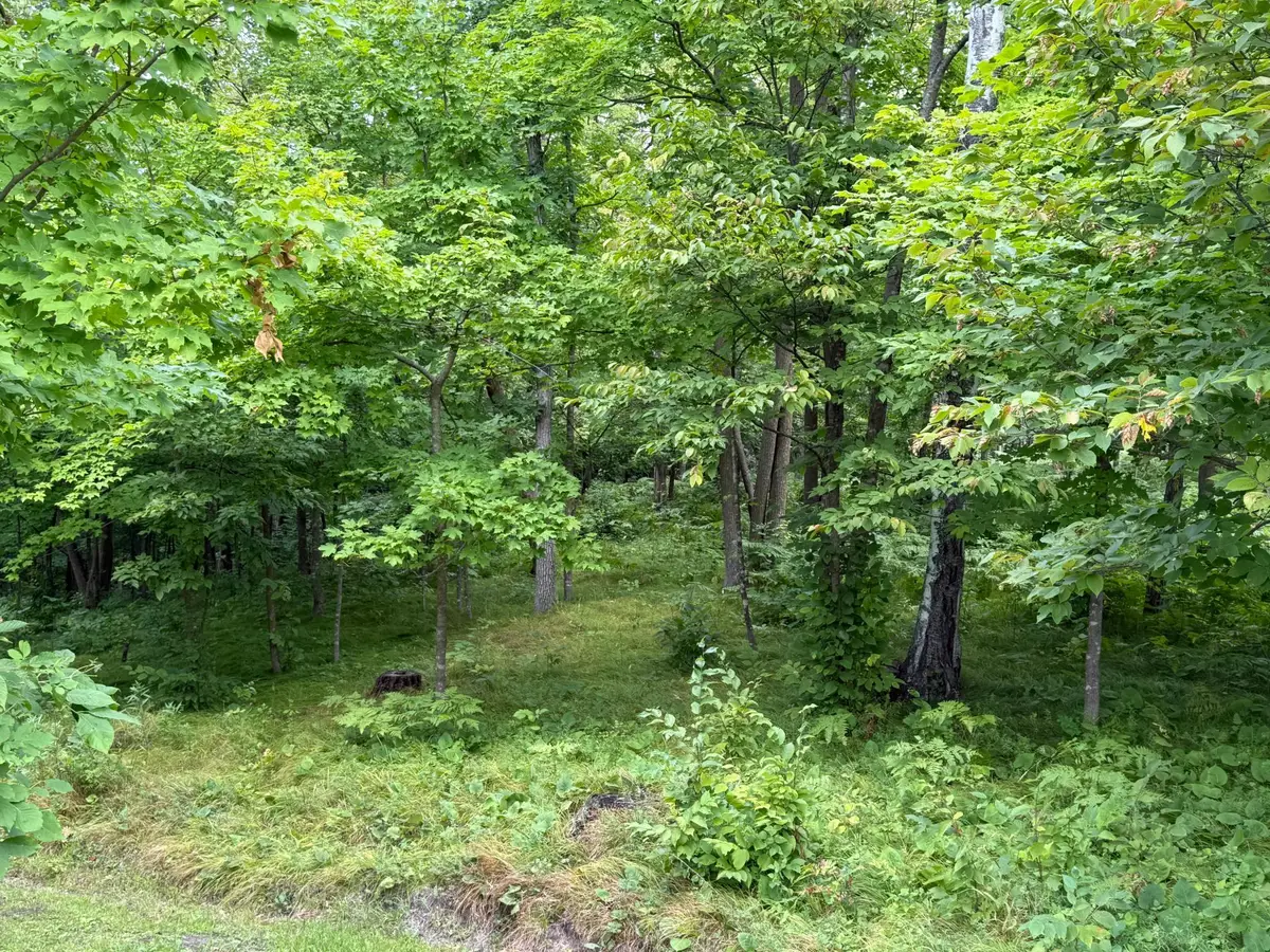 14888 Eaglewood Drive, Detroit Lakes, MN 56501 - #1