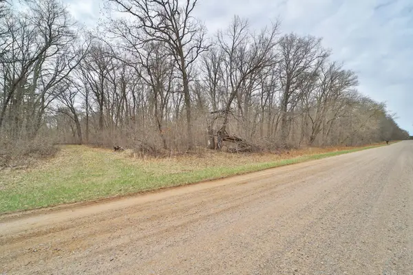 TBD Bedow Road, Fort Ripley, MN 56449