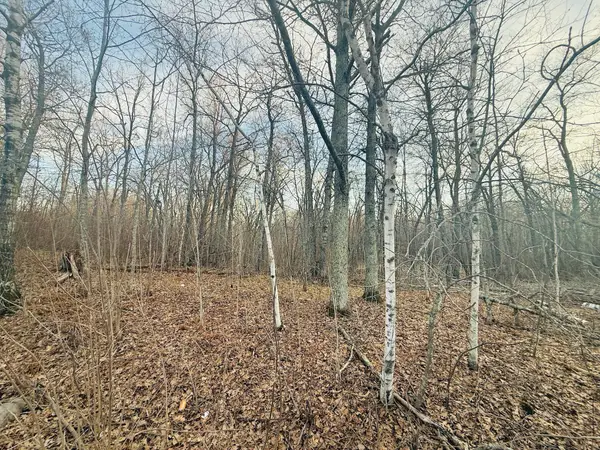 TBD Ringneck Roost, Garrison, MN 56450
