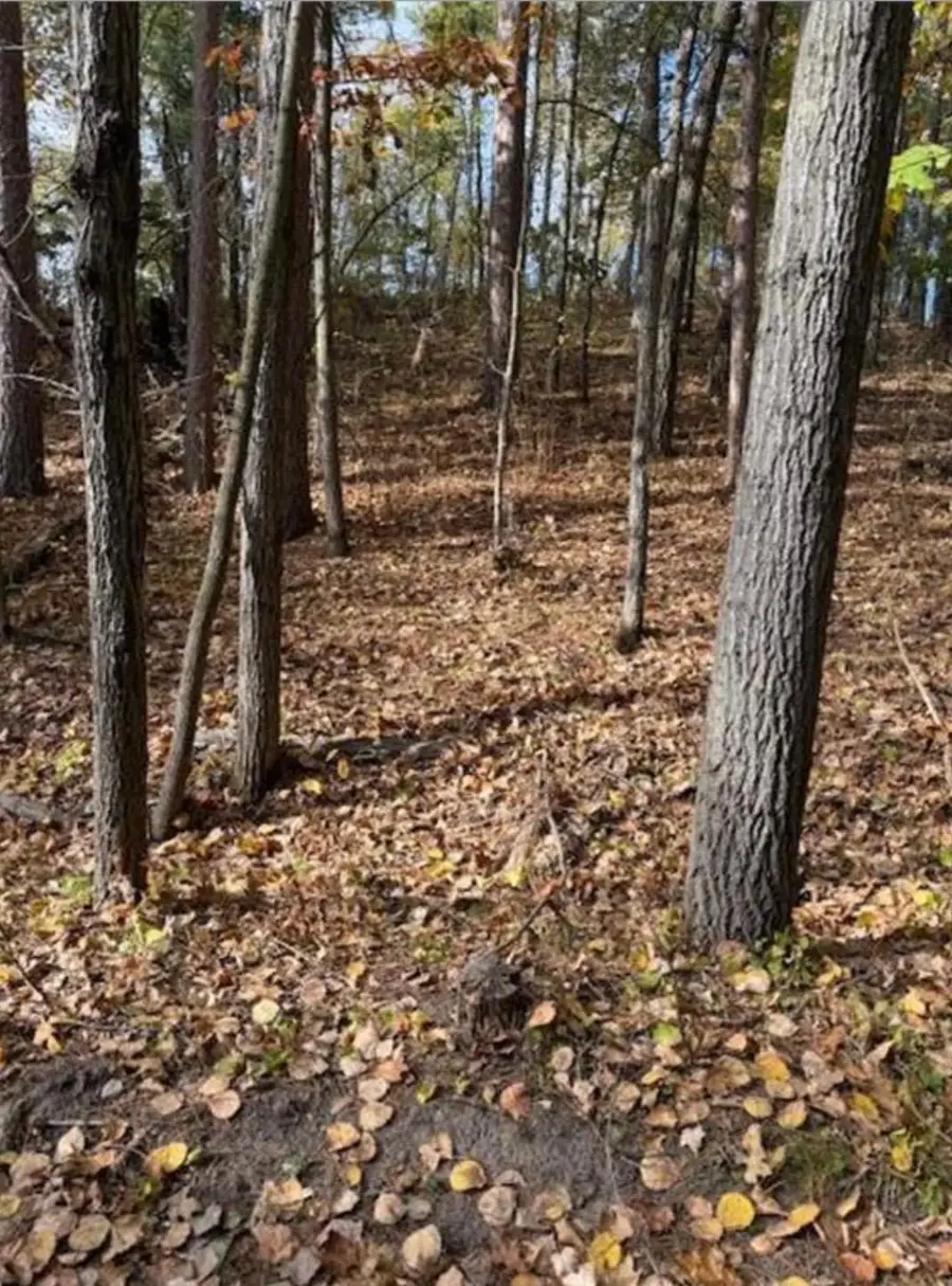1380 Little John Road, Nisswa, MN 56468 - #3