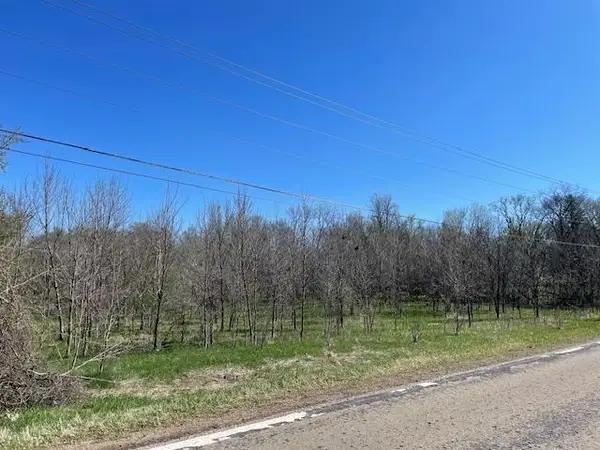 TBD Wealthy Street, Albert Lea, MN 56007