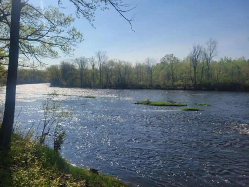 24733 Crooked River Road, Pine City, MN 55063 - #1