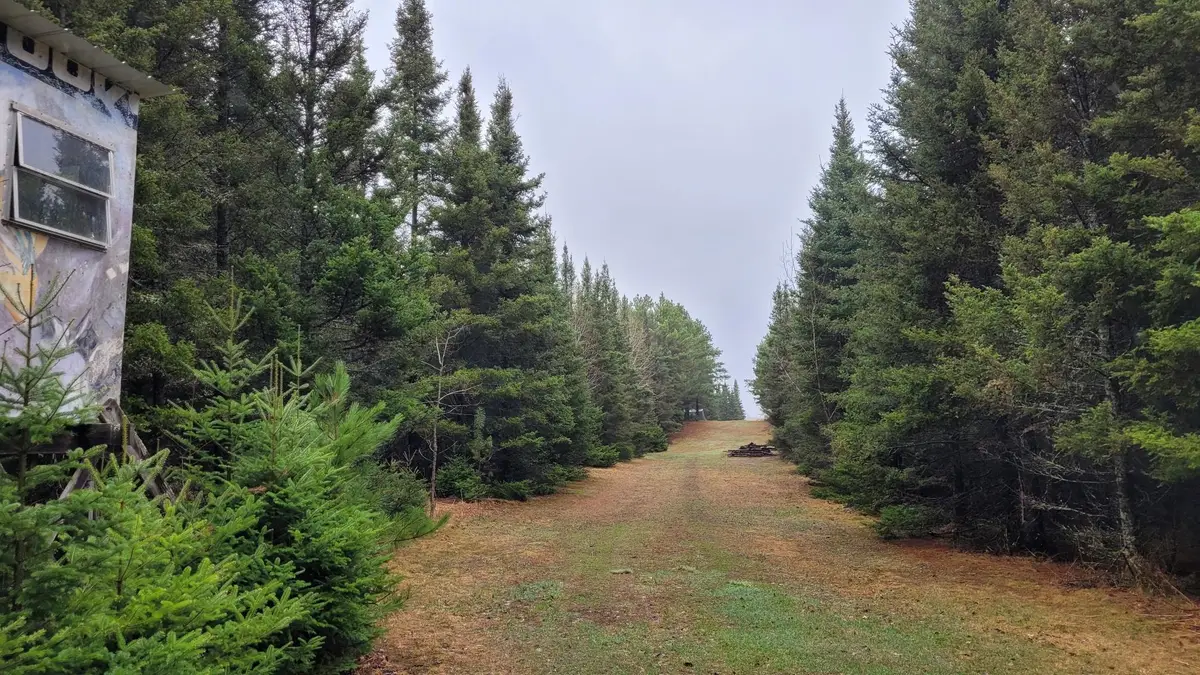 TBD Timber Wolf Trail Sw, Barclay, MN 56435 - #1