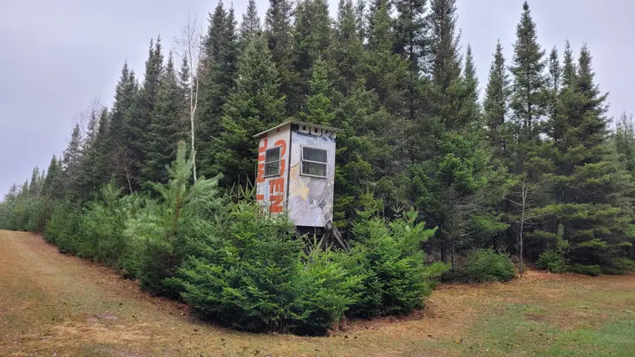 TBD Timber Wolf Trail Sw, Barclay, MN 56435 - #2