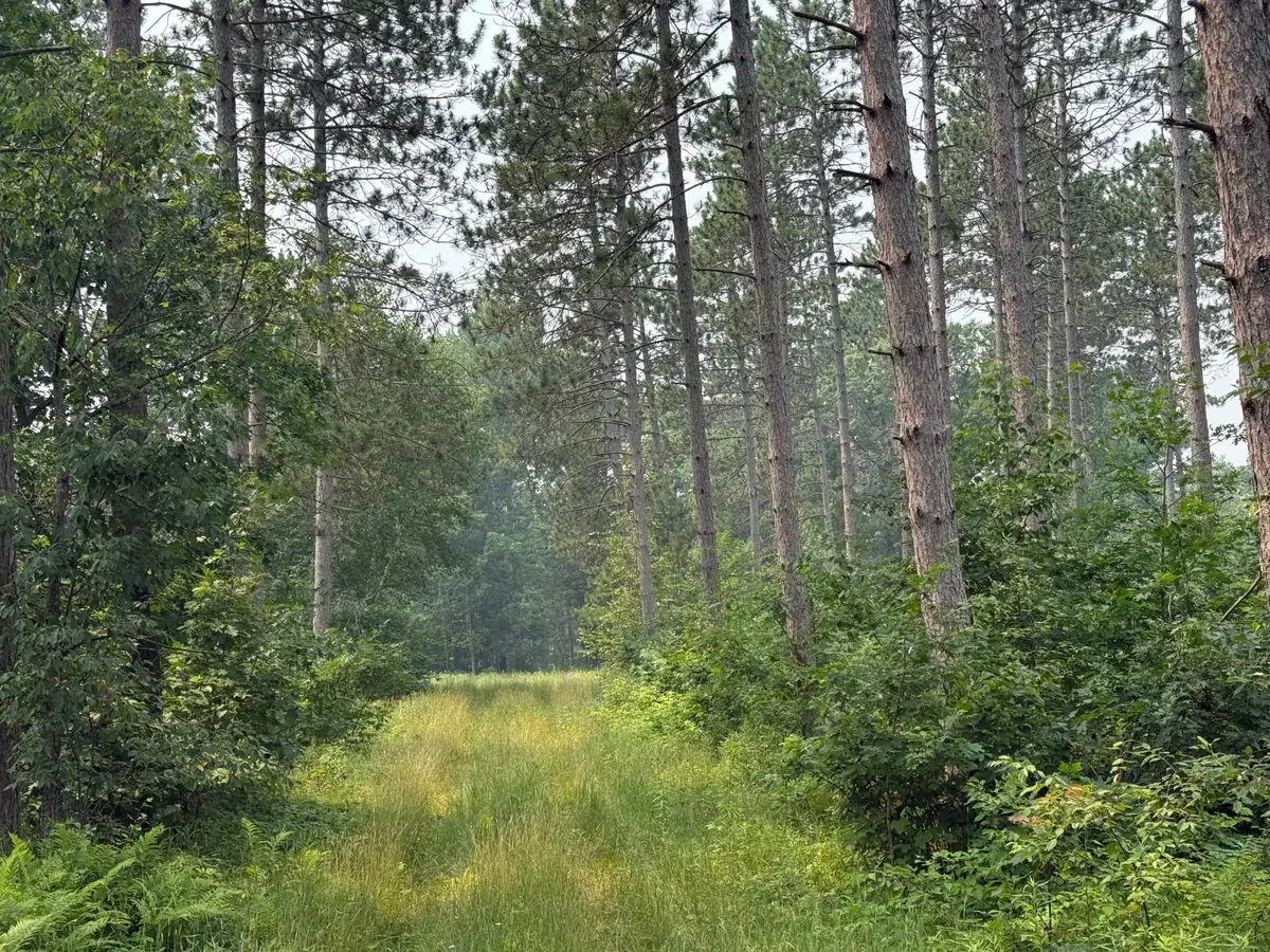 xxx Mann Road, Spooner, WI 54801 - #1