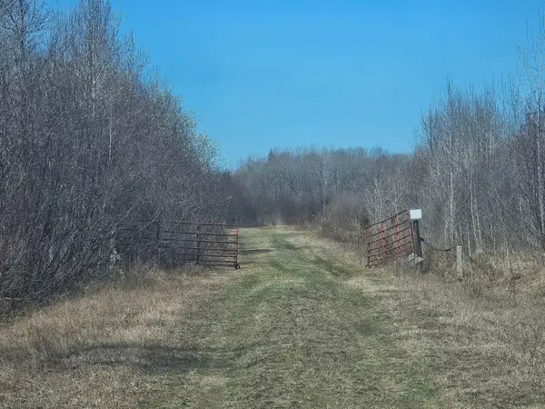 TBD XXX Savanna Road +/- Tbd Xxx Savanna Road +/- 210, Floodwood, MN 55736