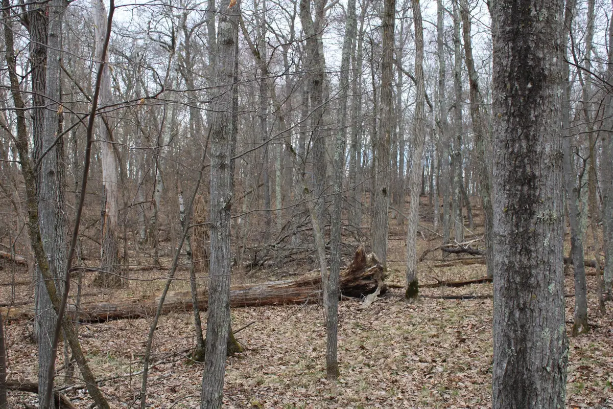 TBD St. Moritz Boulevard, Breezy Point, MN 56472 - #1