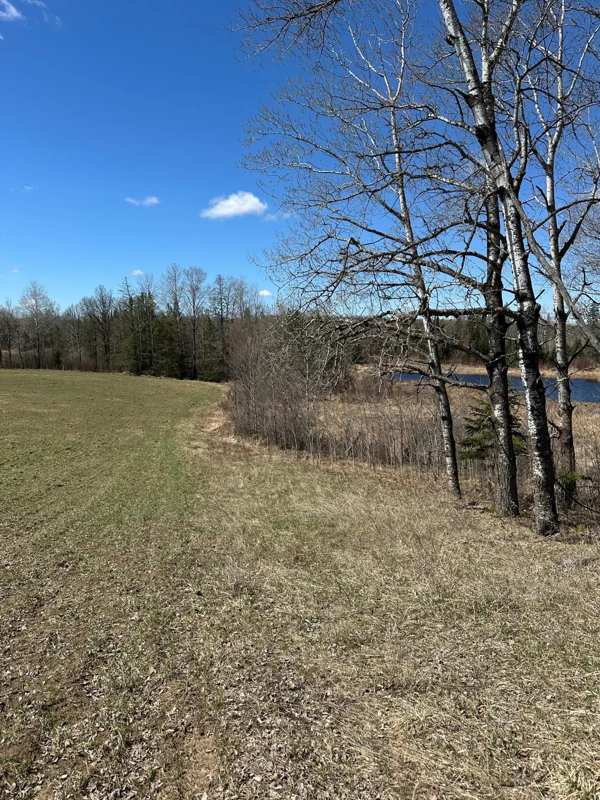 TBD Ct Rd 307, Blackduck, MN 56630 - #1
